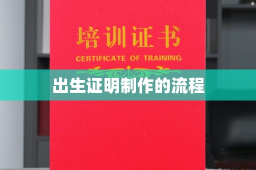 泸定出生证明制作的流程