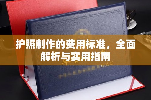 泸定护照制作的费用标准，全面解析与实用指南