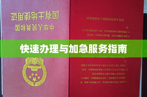 泸定快速办理与加急服务指南