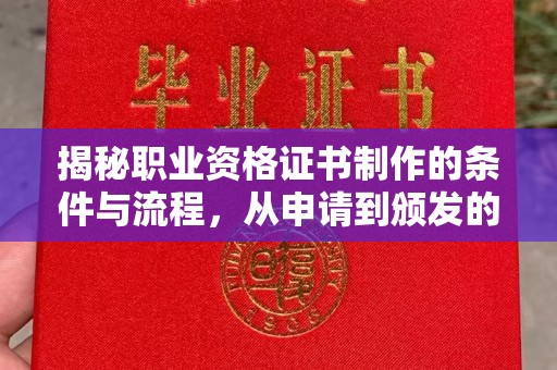 泸定揭秘职业资格证书制作的条件与流程，从申请到颁发的全解析