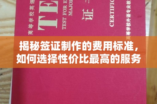 泸定揭秘签证制作的费用标准，如何选择性价比最高的服务？