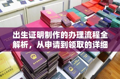 泸定出生证明制作的办理流程全解析，从申请到领取的详细指南