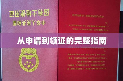 泸定从申请到领证的完整指南