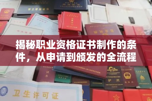 泸定揭秘职业资格证书制作的条件，从申请到颁发的全流程解析
