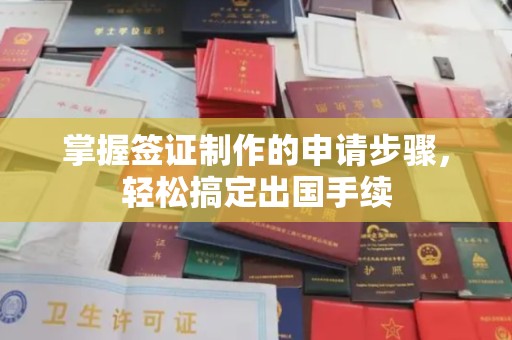 泸定掌握签证制作的申请步骤，轻松搞定出国手续