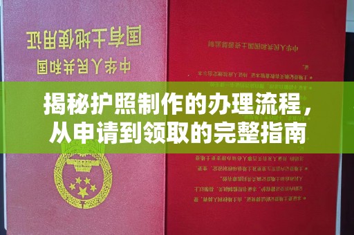 泸定揭秘护照制作的办理流程，从申请到领取的完整指南