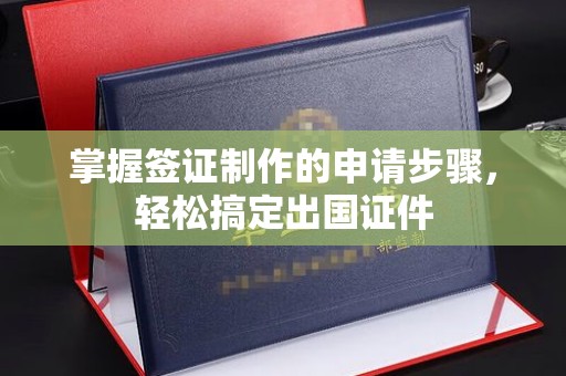 泸定掌握签证制作的申请步骤，轻松搞定出国证件