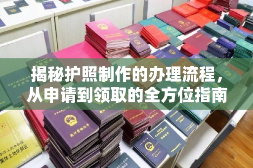 泸定揭秘护照制作的办理流程，从申请到领取的全方位指南