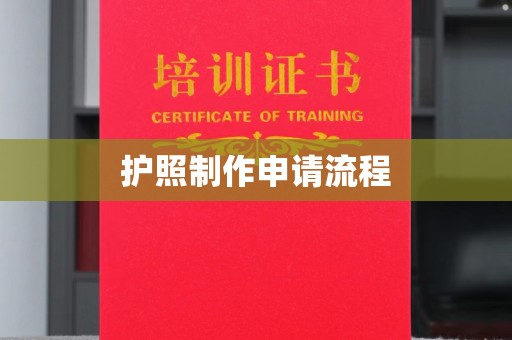 泸定护照制作申请流程