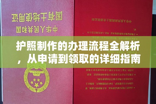 泸定护照制作的办理流程全解析，从申请到领取的详细指南