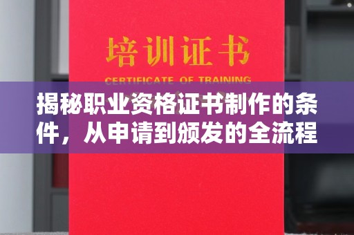 泸定揭秘职业资格证书制作的条件，从申请到颁发的全流程解析